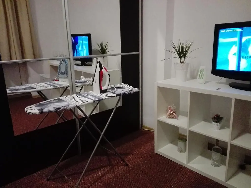 Central Studio Victoriei Apartment Bucureşti
